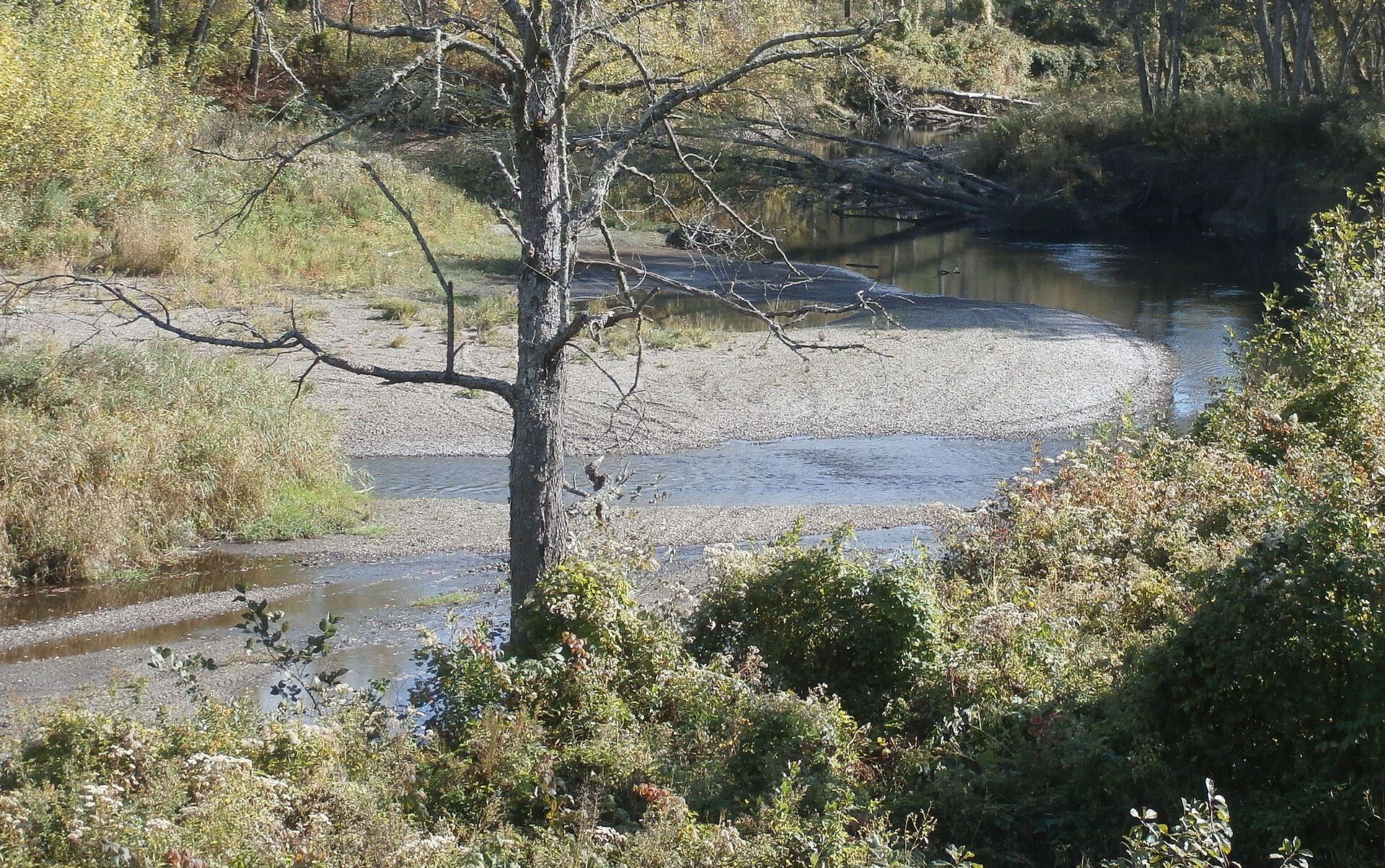 Halls Stream, Canaan, Vermont