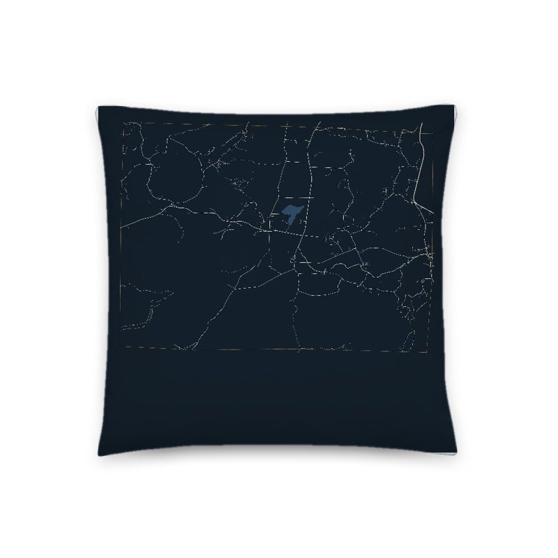Danby Map Throw Pillow