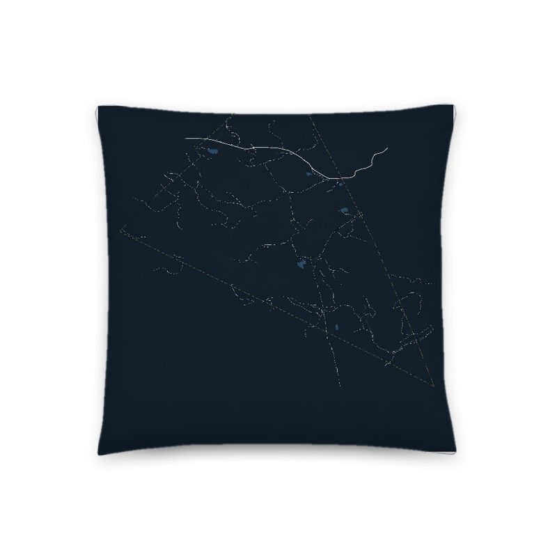 Ferdinand Map Throw Pillow