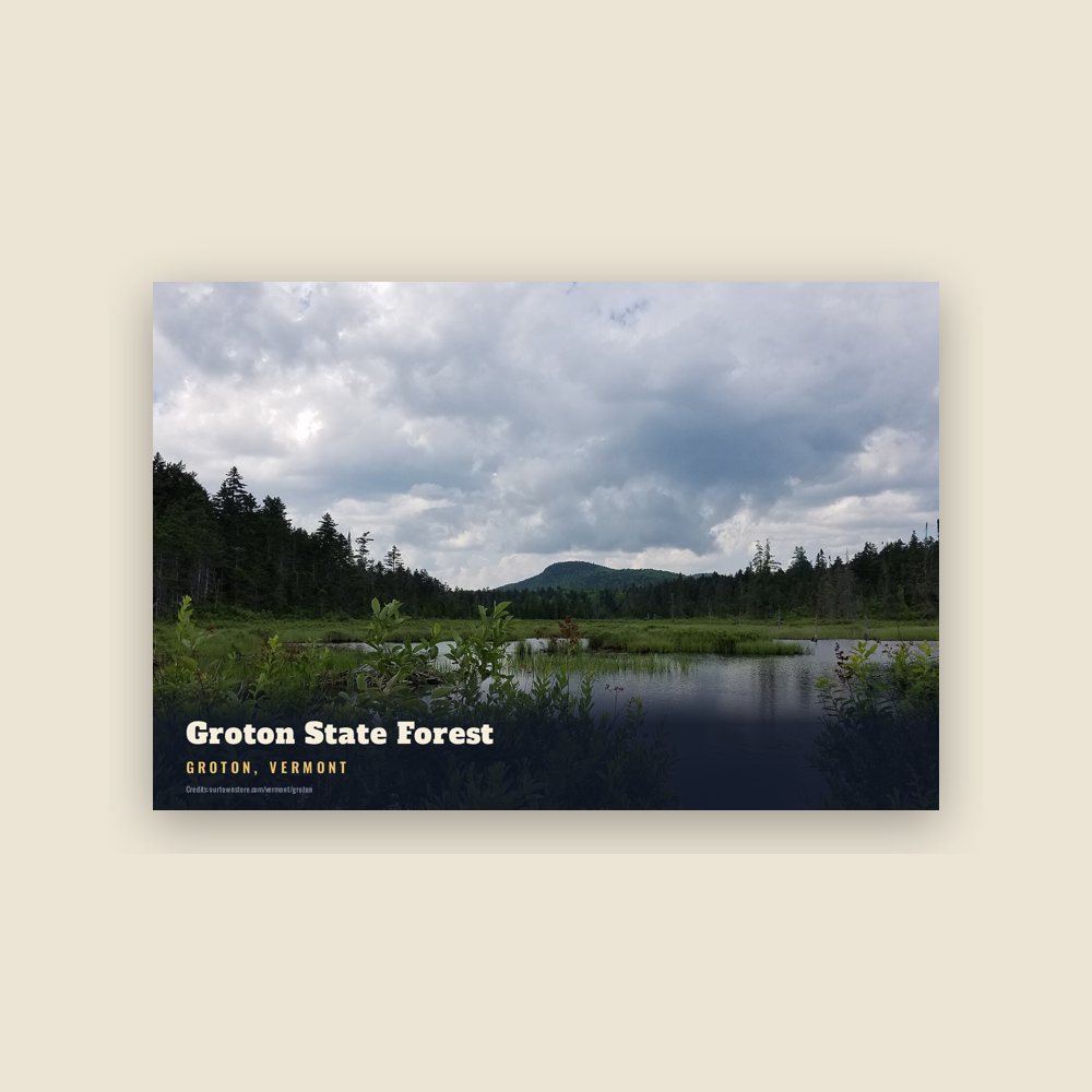Groton Groton State Forest Postcard