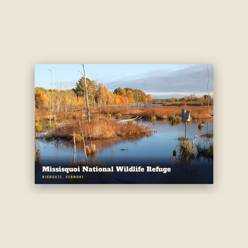 Highgate Missisquoi National Wildlife Refuge Postcard