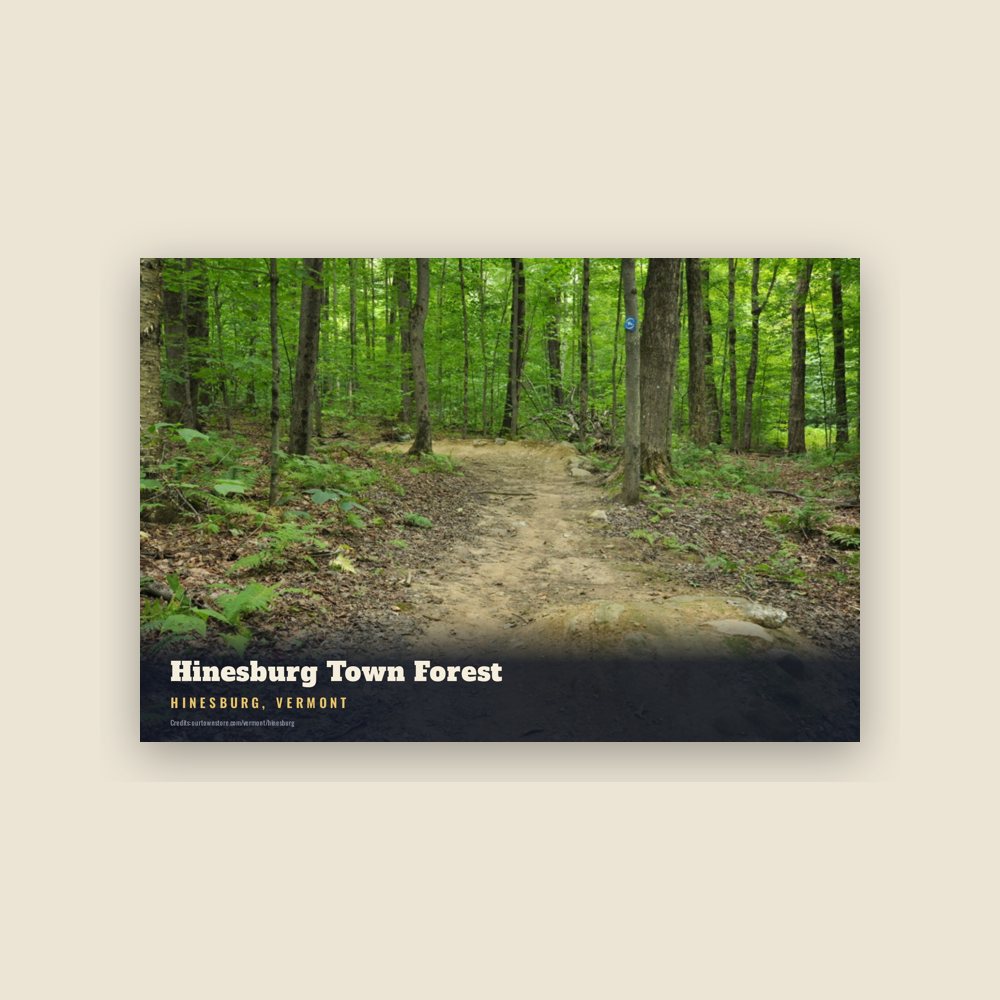 Hinesburg Hinesburg Town Forest Postcard
