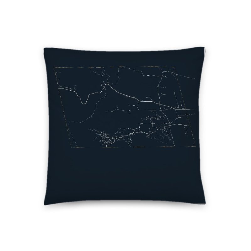 Jay Map Throw Pillow