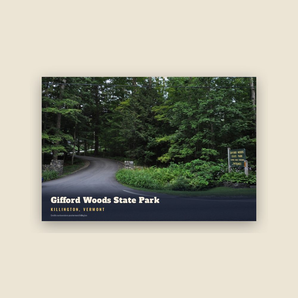 Killington Gifford Woods State Park Postcard