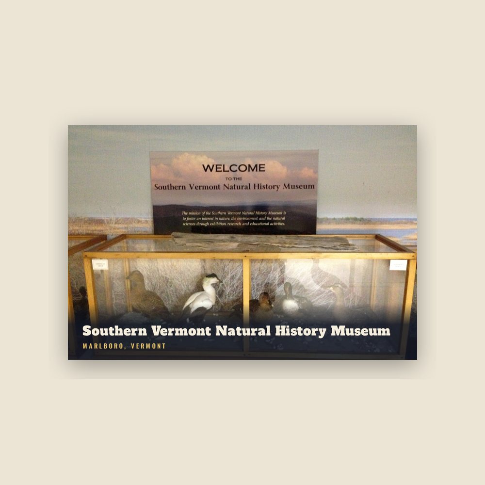 Marlboro Southern Vermont Natural History Museum Postcard