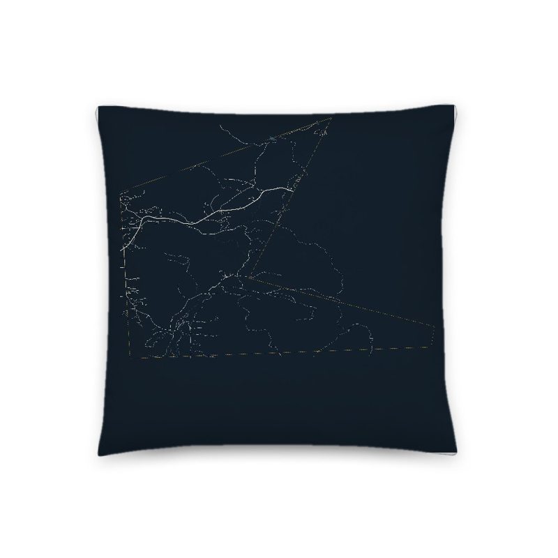 Mendon Map Throw Pillow
