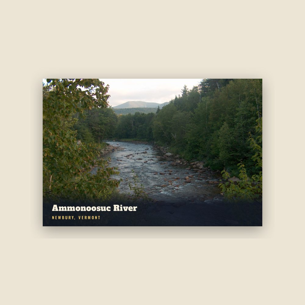 Newbury Ammonoosuc River Postcard