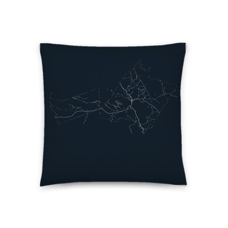 Rochester Map Throw Pillow
