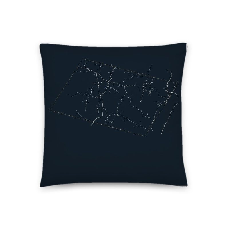 Roxbury Map Throw Pillow