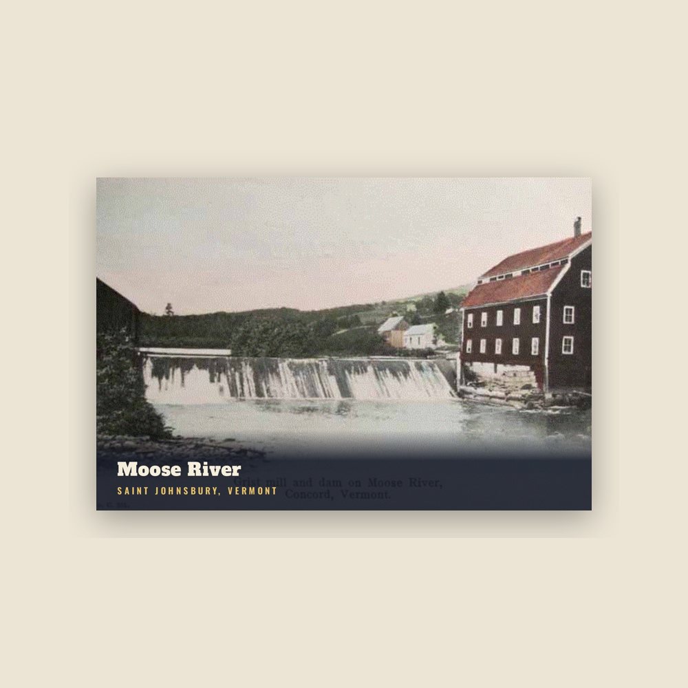 Saint Johnsbury Moose River Postcard