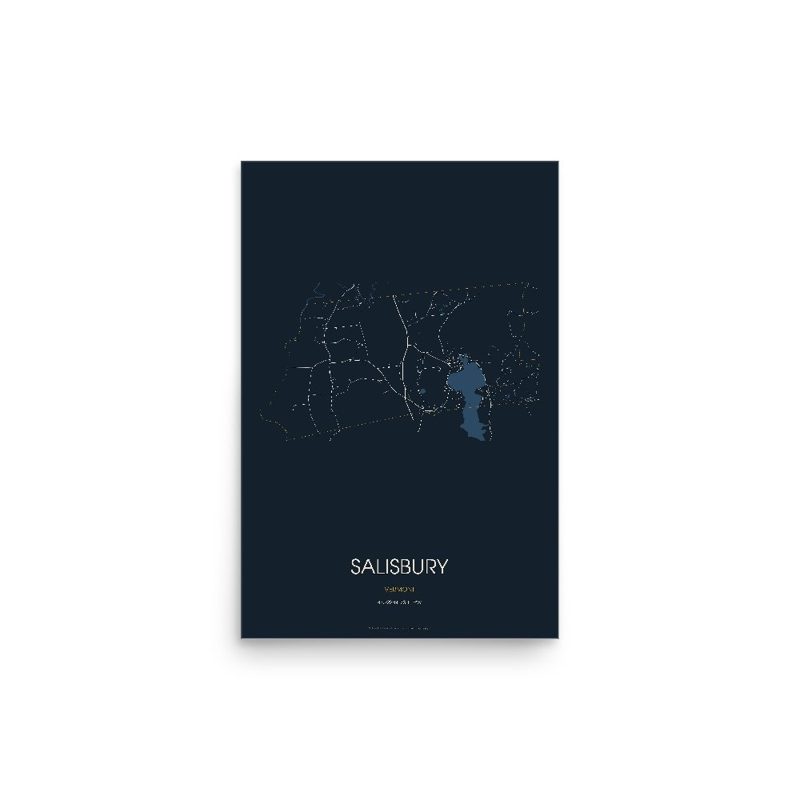 Salisbury Street Map Poster · Midnight