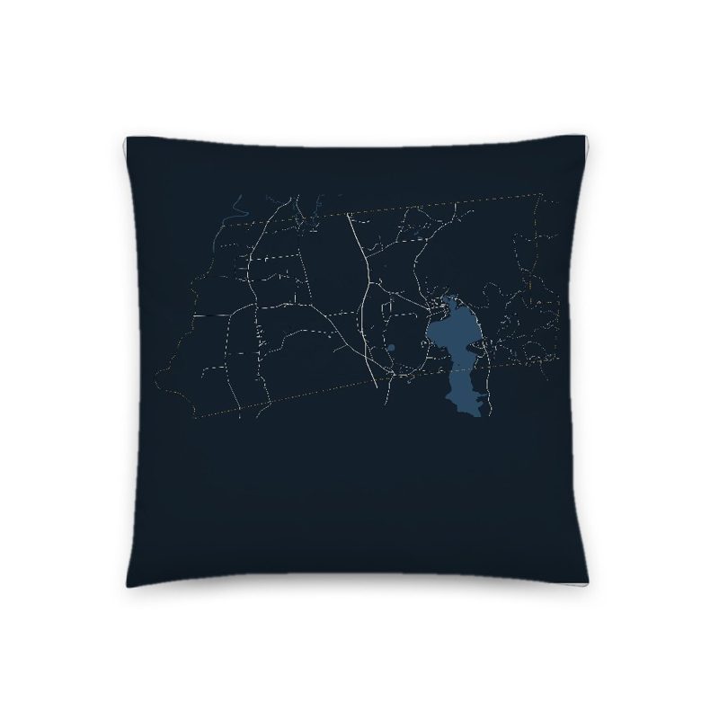 Salisbury Map Throw Pillow