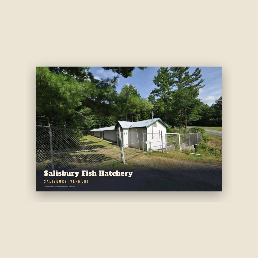 Salisbury Salisbury Fish Hatchery Postcard