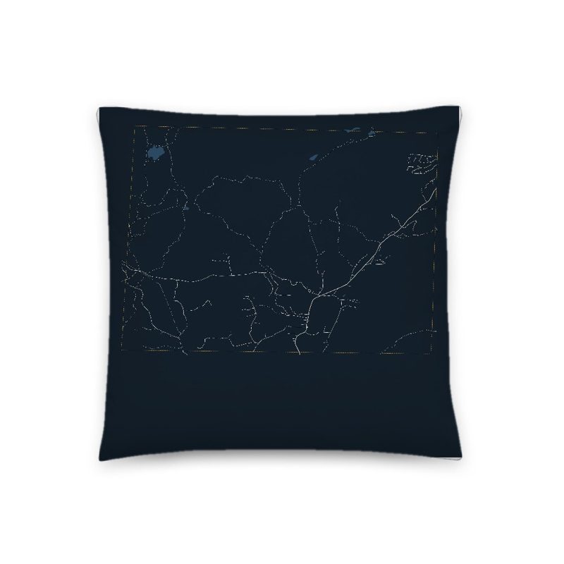 Stamford Map Throw Pillow