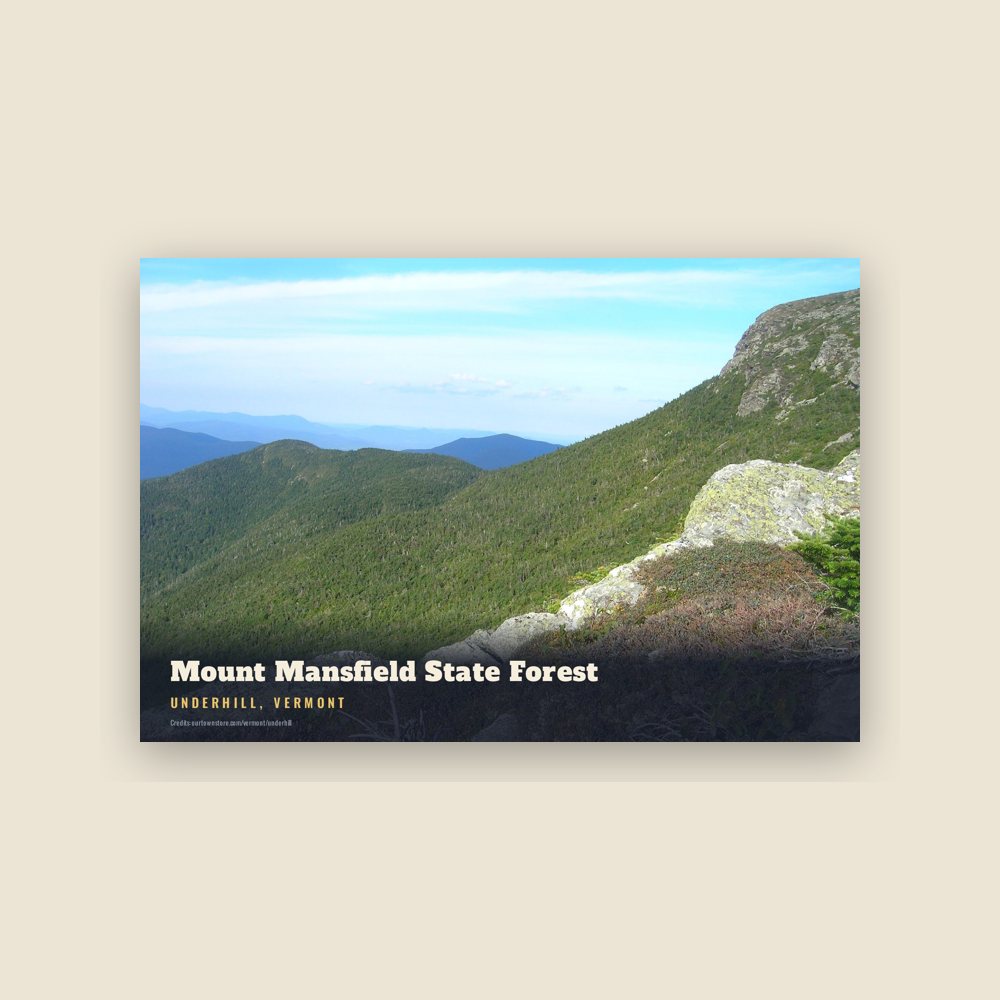 Underhill Mount Mansfield State Forest Postcard