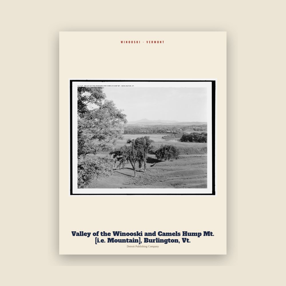 Winooski Valley of the Winooski and Camels Hump Mt. [i.e. Mountain], Burlington, Vt. Archive Print