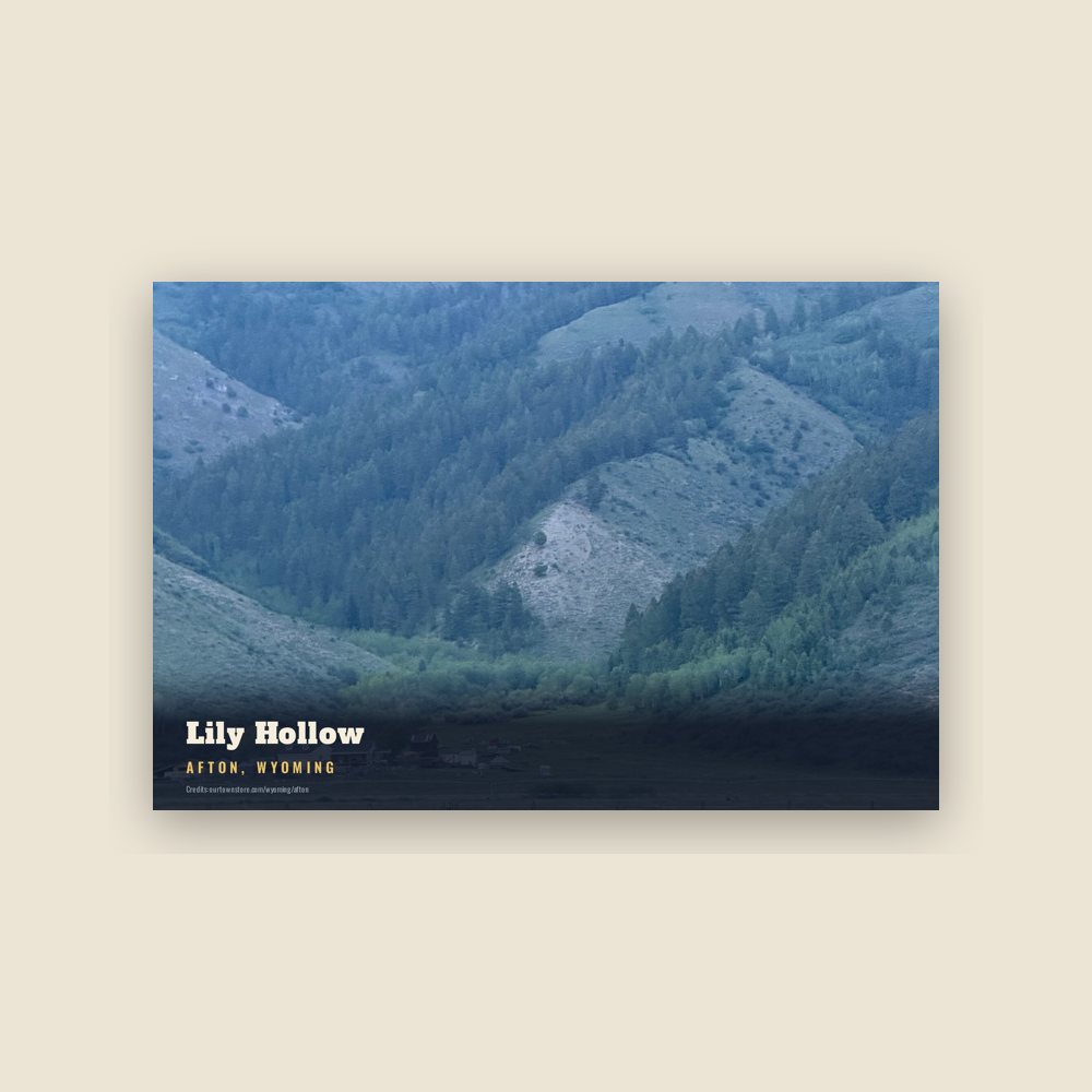 Afton Lily Hollow Postcard