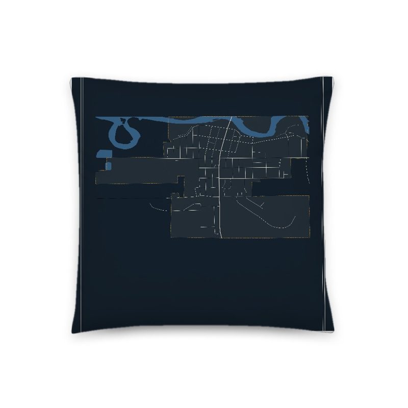 Baggs Map Throw Pillow