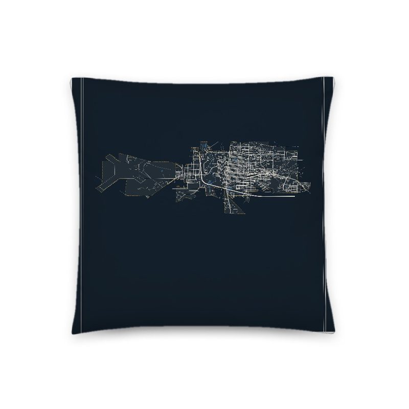 Laramie Map Throw Pillow