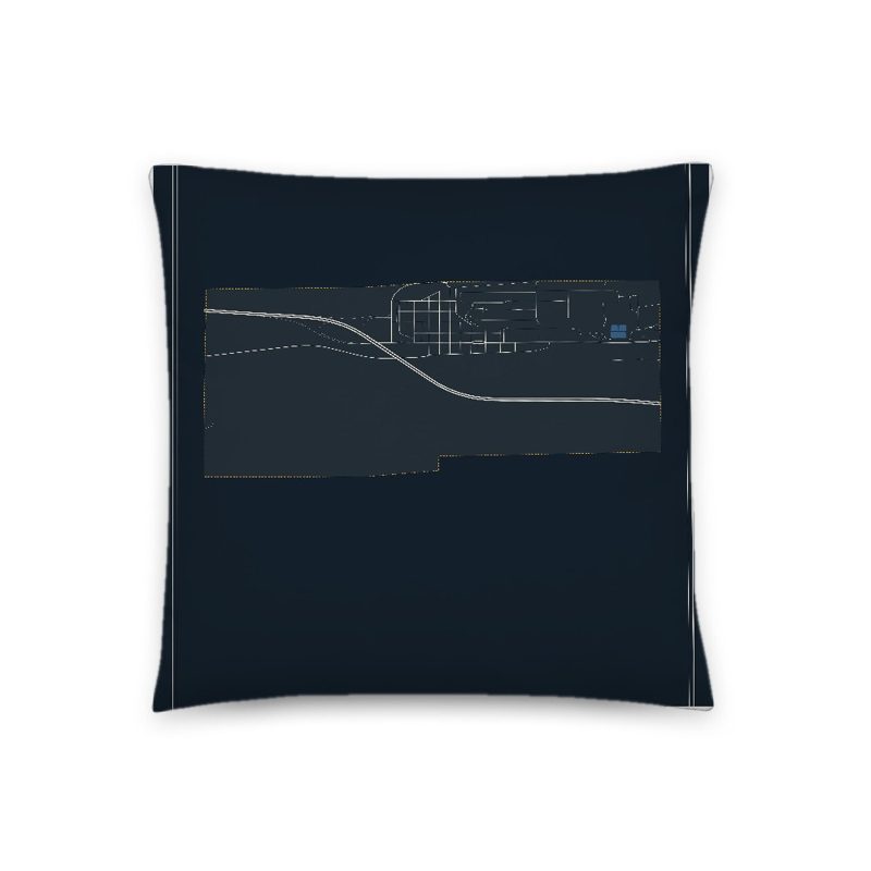 Sinclair Map Throw Pillow