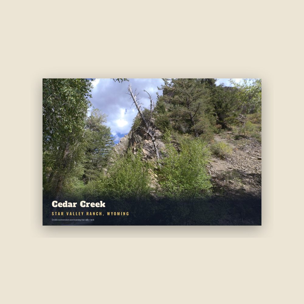 Star Valley Ranch Cedar Creek Postcard