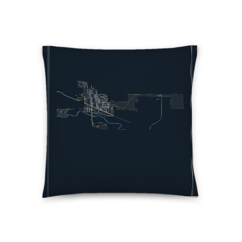 Torrington Map Throw Pillow