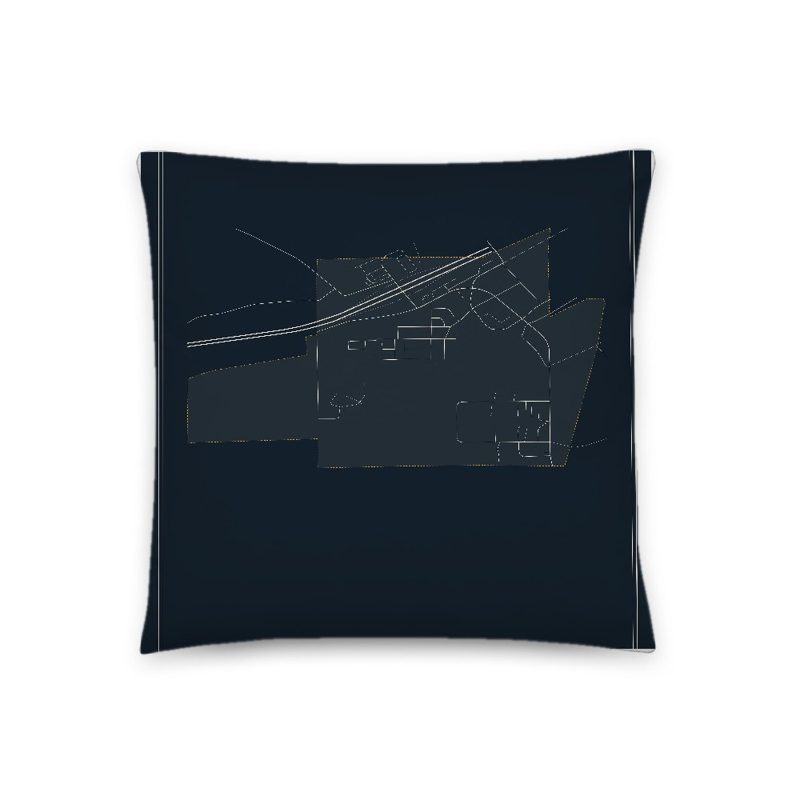 Wamsutter Map Throw Pillow