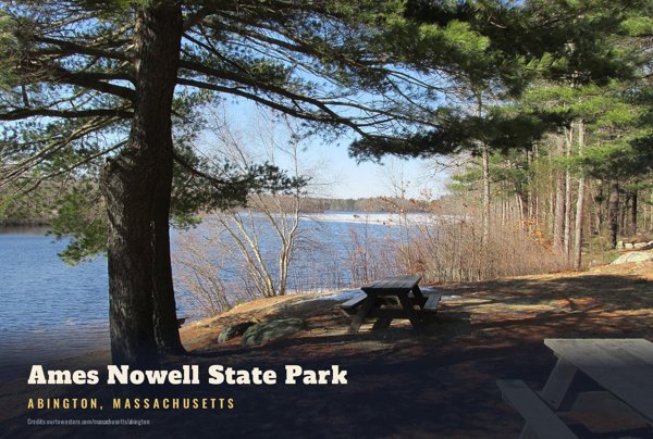 Abington Ames Nowell State Park Postcard artwork detail