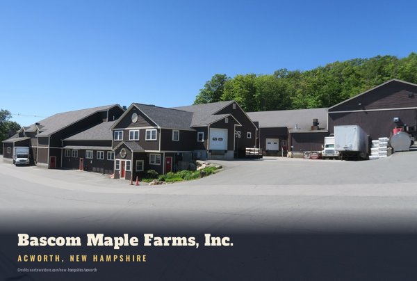 Acworth Bascom Maple Farms, Inc. Postcard artwork detail