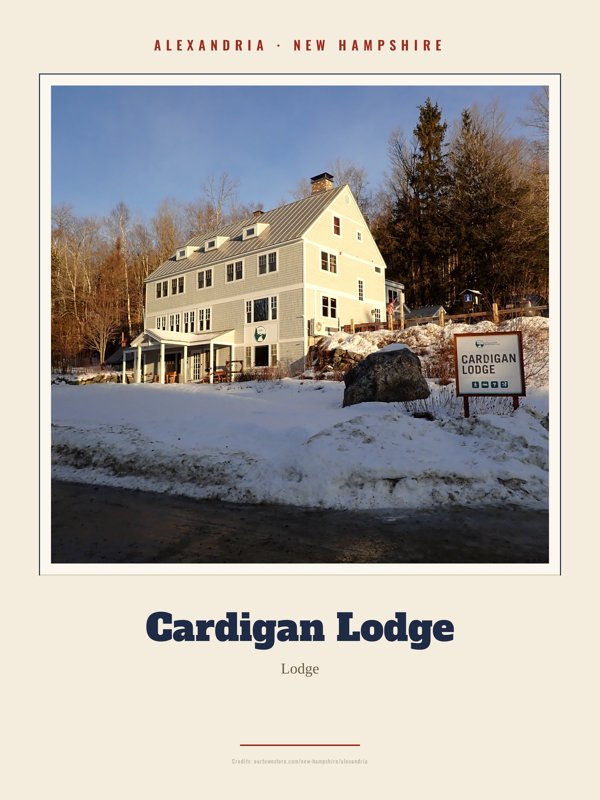Alexandria Cardigan Lodge Landmark Print artwork detail