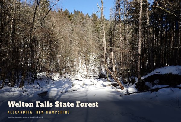 Alexandria Welton Falls State Forest Postcard artwork detail