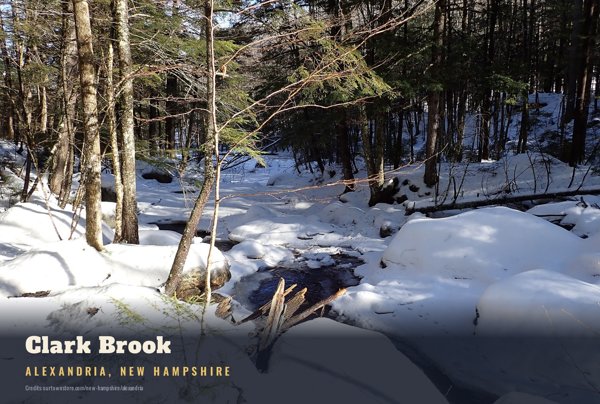 Alexandria Clark Brook Postcard artwork detail