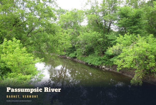 Barnet Passumpsic River Postcard artwork detail