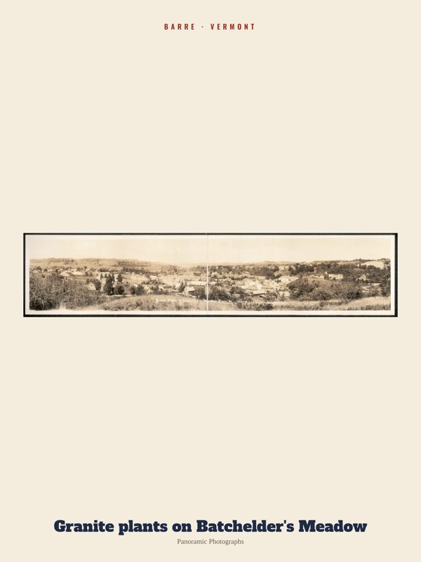 Barre Granite plants on Batchelder's Meadow Archive Print artwork detail