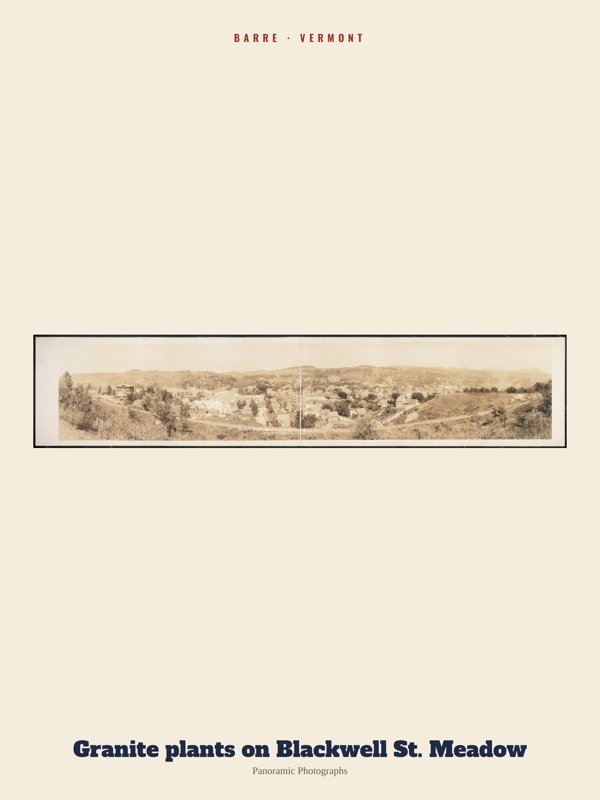 Barre Granite plants on Blackwell St. Meadow Archive Print artwork detail