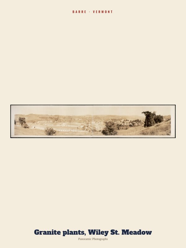 Barre Granite plants, Wiley St. Meadow Archive Print artwork detail