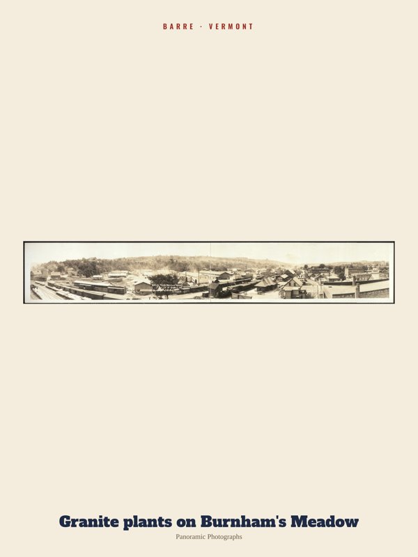 Barre Granite plants on Burnham's Meadow Archive Print artwork detail
