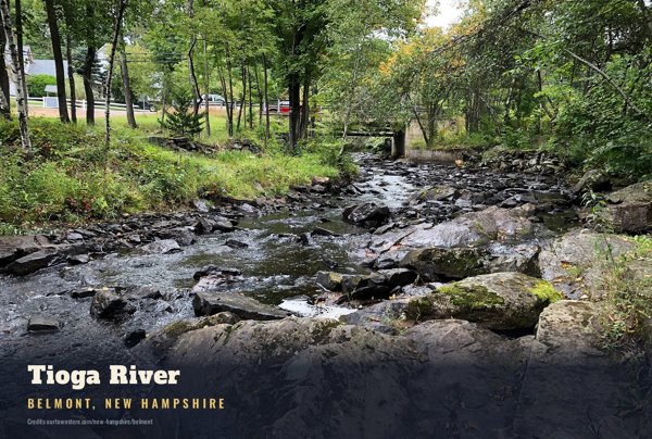 Belmont Tioga River Postcard artwork detail