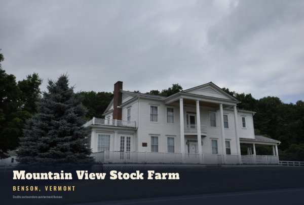 Benson Mountain View Stock Farm Postcard artwork detail