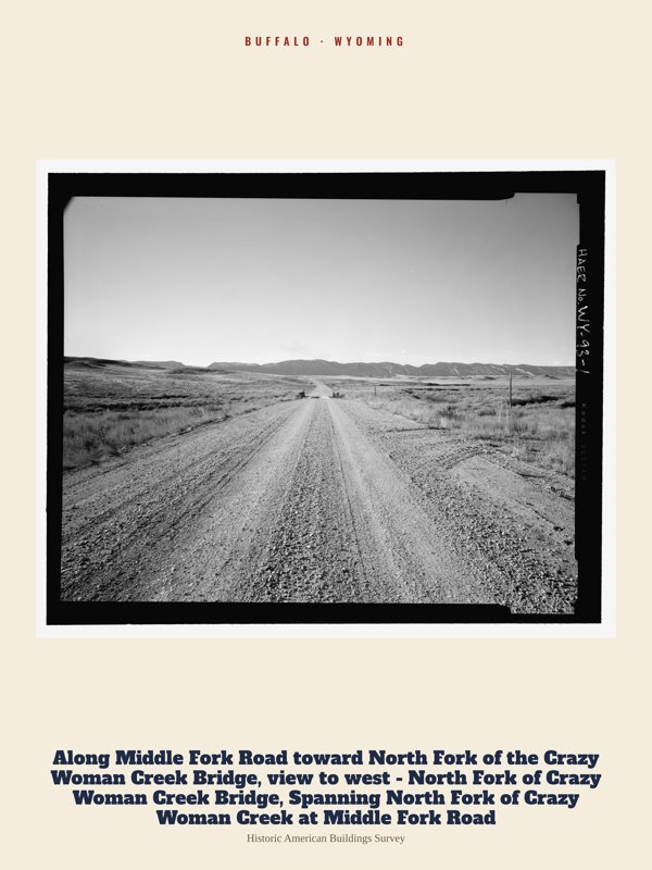 Buffalo Along Middle Fork Road toward North Fork of the Crazy Woman Creek Bridge, view to west - North Fork of Crazy Woman Creek Bridge, Spanning North Fork of Crazy Woman Creek at Middle Fork Road Archive Print artwork detail