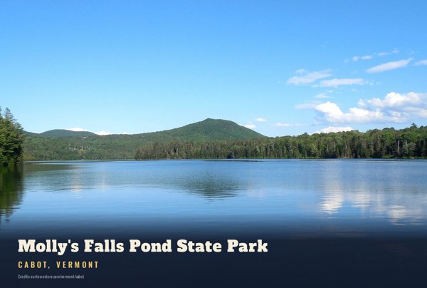Cabot Molly's Falls Pond State Park Postcard artwork detail