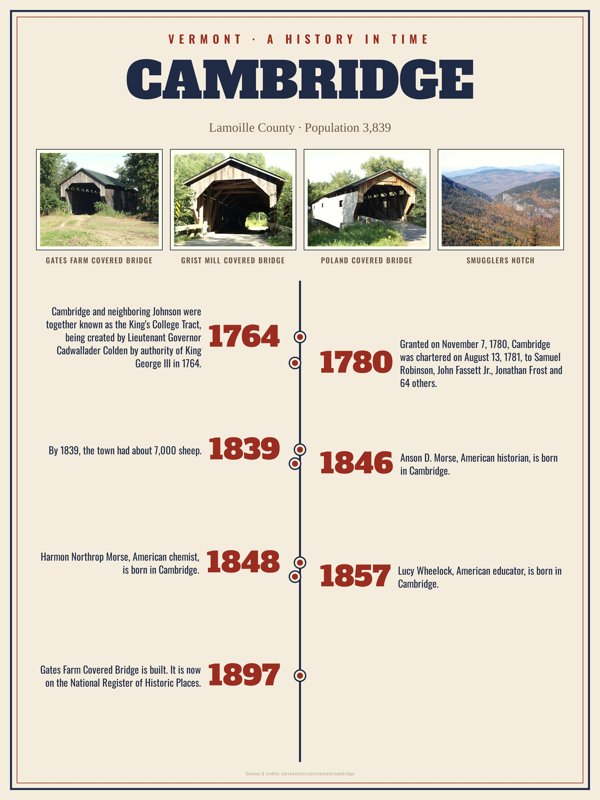 Cambridge History Timeline Poster artwork detail