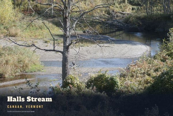 Canaan Halls Stream Postcard artwork detail