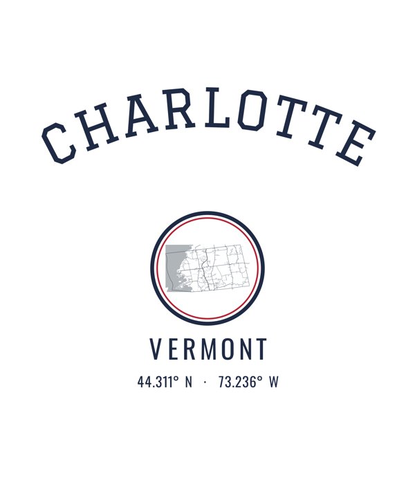 Charlotte Hometown Ornament artwork detail