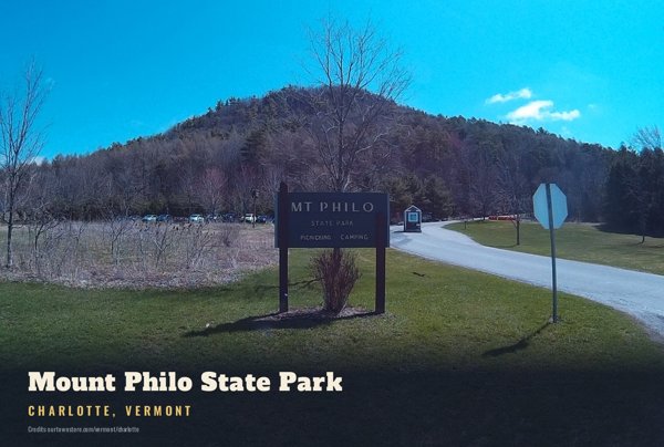 Charlotte Mount Philo State Park Postcard artwork detail