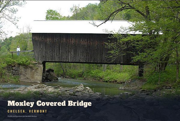 Chelsea Moxley Covered Bridge Postcard artwork detail
