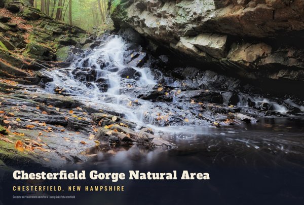 Chesterfield Chesterfield Gorge Natural Area Postcard artwork detail