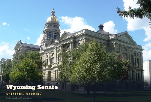 Cheyenne Wyoming Senate Postcard artwork detail