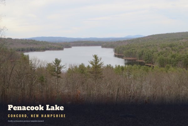 Concord Penacook Lake Postcard artwork detail