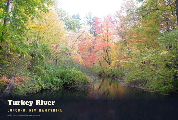 Concord Turkey River Postcard artwork detail
